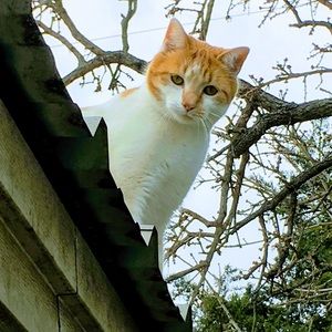 Meet your Posher, Debi